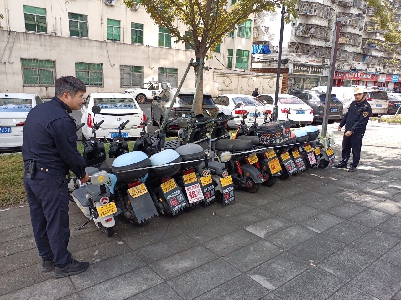 �綯���г�ռ����Ӫ������������չר�����Σ�